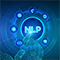 Natural Language Processing (NLP)