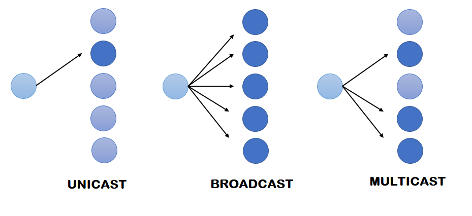 CCNA Cast