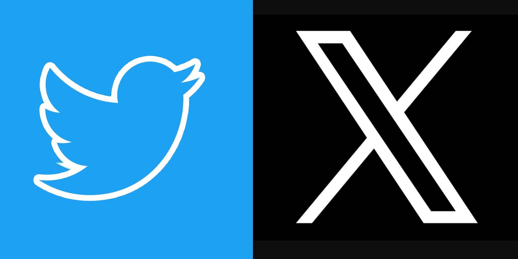 Elon Musk Replaces Twitter's Logo Blue Bird With an 'X'